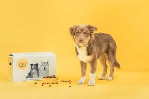 1 pakket hondenvoeding van BuddyBites